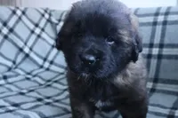 processed/b7cff9fc-3a60-4fa3-8db5-c9e295619936/listing/0567cbf0-e951-4bb4-a46b-1f79b3f96c15/e2715923-7a79-400d-80e7-7afebe1e9e1a