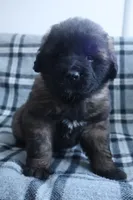 processed/b7cff9fc-3a60-4fa3-8db5-c9e295619936/listing/0567cbf0-e951-4bb4-a46b-1f79b3f96c15/f67a2185-95c7-4219-a756-e00bf7390804