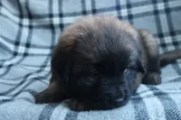 processed/b7cff9fc-3a60-4fa3-8db5-c9e295619936/listing/5ddb4245-6963-4a02-92a5-ac60ebdc7190/14078f29-472f-4e93-a9af-d46a33cda0eb