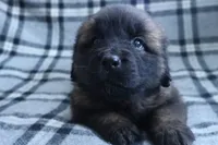 processed/b7cff9fc-3a60-4fa3-8db5-c9e295619936/listing/5ddb4245-6963-4a02-92a5-ac60ebdc7190/20d0426f-c767-45af-8d97-8a318015d64a