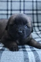 processed/b7cff9fc-3a60-4fa3-8db5-c9e295619936/listing/5ddb4245-6963-4a02-92a5-ac60ebdc7190/24aa7662-61d6-4016-b423-1b28d7ce7334