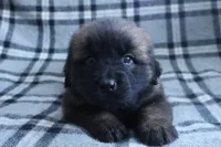 processed/b7cff9fc-3a60-4fa3-8db5-c9e295619936/listing/5ddb4245-6963-4a02-92a5-ac60ebdc7190/b21964f9-6496-4629-a94f-1a8b986dc50b