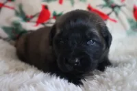 processed/b7cff9fc-3a60-4fa3-8db5-c9e295619936/listing/5ddb4245-6963-4a02-92a5-ac60ebdc7190/dc57254d-29b1-4514-8b4c-7167760a1b30