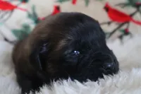 processed/b7cff9fc-3a60-4fa3-8db5-c9e295619936/listing/5ddb4245-6963-4a02-92a5-ac60ebdc7190/fed5b983-393a-41ab-bcba-b5c8e89b82bf