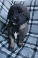 processed/b7cff9fc-3a60-4fa3-8db5-c9e295619936/listing/79bf4393-9b28-4dbe-bef7-c3faf24a8e7a/354875cb-523b-44ec-b035-83ade2110518