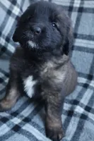 processed/b7cff9fc-3a60-4fa3-8db5-c9e295619936/listing/79bf4393-9b28-4dbe-bef7-c3faf24a8e7a/b01022df-ff73-4482-af58-77020a3f579e