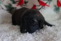 processed/b7cff9fc-3a60-4fa3-8db5-c9e295619936/listing/79bf4393-9b28-4dbe-bef7-c3faf24a8e7a/c33d86d9-bed8-49f6-a45a-40d7257583c6