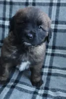 processed/b7cff9fc-3a60-4fa3-8db5-c9e295619936/listing/abd8ba4b-713d-4ce4-b239-2e5d17c9d4ec/11755268-409e-48c2-ad2e-7467f7979598