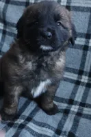 processed/b7cff9fc-3a60-4fa3-8db5-c9e295619936/listing/abd8ba4b-713d-4ce4-b239-2e5d17c9d4ec/b4c13dfd-bcf6-4245-94ae-eb75725ab56c