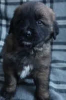 processed/b7cff9fc-3a60-4fa3-8db5-c9e295619936/listing/abd8ba4b-713d-4ce4-b239-2e5d17c9d4ec/ba2ee3f4-6862-4bf0-9689-b62267623234