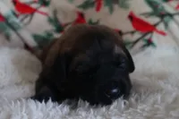 processed/b7cff9fc-3a60-4fa3-8db5-c9e295619936/listing/abd8ba4b-713d-4ce4-b239-2e5d17c9d4ec/c1ab5209-2b7f-4e16-9341-06a99b4bc9d0