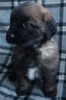 processed/b7cff9fc-3a60-4fa3-8db5-c9e295619936/listing/abd8ba4b-713d-4ce4-b239-2e5d17c9d4ec/db416715-3751-443d-ad19-c640110f1f91