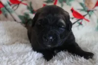 processed/b7cff9fc-3a60-4fa3-8db5-c9e295619936/listing/af6ae2f7-3ae8-4edd-bbbc-f28e4e9094a1/556bac87-1a2a-4dc3-911a-4821ccb826dc