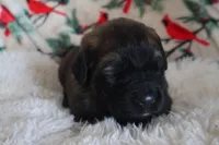 processed/b7cff9fc-3a60-4fa3-8db5-c9e295619936/listing/af6ae2f7-3ae8-4edd-bbbc-f28e4e9094a1/5bc46260-6d60-4710-9b64-1698de3a4188