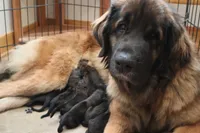 processed/b7cff9fc-3a60-4fa3-8db5-c9e295619936/listing/af6ae2f7-3ae8-4edd-bbbc-f28e4e9094a1/5fd68053-a1ad-42a9-9d64-f738f8b0663b