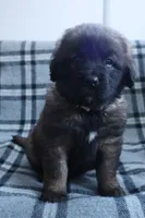 processed/b7cff9fc-3a60-4fa3-8db5-c9e295619936/listing/af6ae2f7-3ae8-4edd-bbbc-f28e4e9094a1/7b1c393b-cfcc-46bc-833e-2cbeb2472463