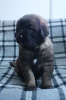 processed/b7cff9fc-3a60-4fa3-8db5-c9e295619936/listing/af6ae2f7-3ae8-4edd-bbbc-f28e4e9094a1/8d15e223-f6c5-4c9e-958b-edc421ef0a62