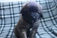 processed/b7cff9fc-3a60-4fa3-8db5-c9e295619936/listing/af6ae2f7-3ae8-4edd-bbbc-f28e4e9094a1/9627c389-9062-4164-b03a-5288ddae6399