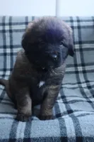 processed/b7cff9fc-3a60-4fa3-8db5-c9e295619936/listing/af6ae2f7-3ae8-4edd-bbbc-f28e4e9094a1/f3f993da-0da8-41ba-abb4-9960e74b0bcc