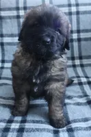 processed/b7cff9fc-3a60-4fa3-8db5-c9e295619936/listing/b358cd80-5e7b-4f9a-9bb7-d0c245c48be7/ea6d0a60-9fb9-45b8-816c-b17ac469166b