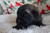 processed/b7cff9fc-3a60-4fa3-8db5-c9e295619936/listing/b358cd80-5e7b-4f9a-9bb7-d0c245c48be7/ee06adb4-9ea2-4dd8-b12b-556491ac59bd