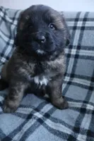 processed/b7cff9fc-3a60-4fa3-8db5-c9e295619936/listing/d13aea8f-fab9-44d4-8d06-3f96984ac9ae/55905fef-b479-4b80-808b-496a1d4a1645