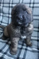 processed/b7cff9fc-3a60-4fa3-8db5-c9e295619936/listing/d13aea8f-fab9-44d4-8d06-3f96984ac9ae/60b8d93c-8a32-4fb6-adb6-03f3ccec1f56