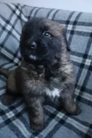 processed/b7cff9fc-3a60-4fa3-8db5-c9e295619936/listing/d13aea8f-fab9-44d4-8d06-3f96984ac9ae/6d59d426-e602-4d98-ac01-8084e0ce0b8f