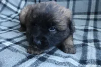 processed/b7cff9fc-3a60-4fa3-8db5-c9e295619936/listing/d13aea8f-fab9-44d4-8d06-3f96984ac9ae/f1cec9a8-e49a-4d96-ab8e-0bcde52e65df