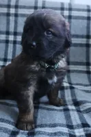 processed/b7cff9fc-3a60-4fa3-8db5-c9e295619936/listing/e69df632-266d-4dc9-aee6-d4778040f783/2eed05ea-a74f-4590-b372-7b6b9196cb36