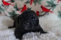 processed/b7cff9fc-3a60-4fa3-8db5-c9e295619936/listing/e69df632-266d-4dc9-aee6-d4778040f783/41320b20-adee-490d-b291-9366f992761a