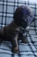 processed/b7cff9fc-3a60-4fa3-8db5-c9e295619936/listing/e69df632-266d-4dc9-aee6-d4778040f783/542a7e42-6096-4458-9ec6-bdd19f035403