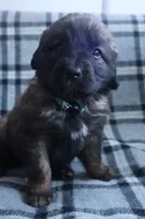 processed/b7cff9fc-3a60-4fa3-8db5-c9e295619936/listing/e69df632-266d-4dc9-aee6-d4778040f783/7eecfbd8-8585-4640-b7cb-f45c74de1d19