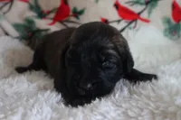 processed/b7cff9fc-3a60-4fa3-8db5-c9e295619936/listing/e69df632-266d-4dc9-aee6-d4778040f783/bc84ba2d-e384-4533-bc57-3b637722f93f