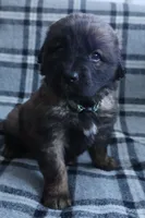 processed/b7cff9fc-3a60-4fa3-8db5-c9e295619936/listing/e69df632-266d-4dc9-aee6-d4778040f783/f149e7d6-bea6-4265-8db0-4340d305b73d