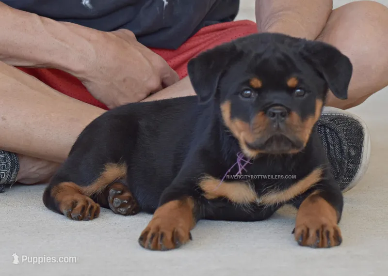 Strong Female Super head!