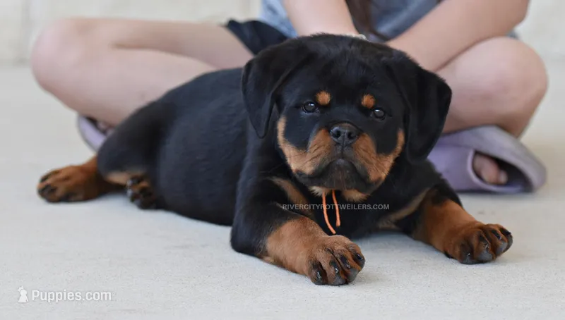 Strong Female Super head!