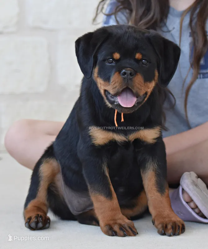 Amazing Strong Female Super head 
