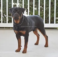 processed/b7d85ec1-804d-4e8e-a28d-1acf518f1a2d/listing/8778c21e-e38a-4bb4-9d28-51441652373d/39ea2aa3-76b2-4d98-a612-1fa0481a491e