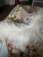 processed/b7d93bc8-4263-4454-b349-b417785d045a/listing/172f77cf-87ca-43ff-b39a-9adaba353014/4c0494bb-2503-4d5e-b8a5-b1c718ab5a31