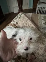 processed/b7d93bc8-4263-4454-b349-b417785d045a/listing/172f77cf-87ca-43ff-b39a-9adaba353014/5602312f-52a8-4547-9c9d-ee32ee7d13f3