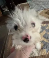 processed/b7d93bc8-4263-4454-b349-b417785d045a/listing/172f77cf-87ca-43ff-b39a-9adaba353014/8f17c8aa-3c16-4c39-86a9-a86cd468102e