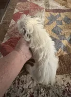 processed/b7d93bc8-4263-4454-b349-b417785d045a/listing/172f77cf-87ca-43ff-b39a-9adaba353014/95056254-c980-49f3-b362-76292ef0ae01