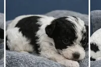 processed/b7dc5925-eb9f-42c6-a924-ec5f273a0d14/listing/311e37d7-54ed-4dd6-ad1d-564da6382dca/69ea5b7b-4073-44f1-b600-f032ae5fe4f7