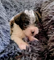 processed/b7dc5925-eb9f-42c6-a924-ec5f273a0d14/listing/311e37d7-54ed-4dd6-ad1d-564da6382dca/ac748a2c-e55f-415b-861d-d2567df5b51f