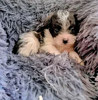 processed/b7dc5925-eb9f-42c6-a924-ec5f273a0d14/listing/311e37d7-54ed-4dd6-ad1d-564da6382dca/d6e21953-2a95-46ae-9d29-972ec278d33a