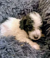 processed/b7dc5925-eb9f-42c6-a924-ec5f273a0d14/listing/7e53162b-6068-4f87-8f0b-dce36a0c8d95/6ad75e4e-2eb7-4365-85ea-aa599e8facd1