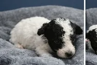 processed/b7dc5925-eb9f-42c6-a924-ec5f273a0d14/listing/7e53162b-6068-4f87-8f0b-dce36a0c8d95/af26a117-6a35-4929-b4f0-ccf0f3ef80da