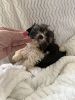 processed/b7dc6517-329e-42a4-8d9f-b8d4c3dc76b5/listing/033ae5ff-887d-4127-b4b2-8f515f91dd8d/24fcc312-e5c8-45d4-a90c-76fa5365cf8c