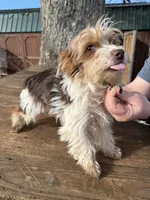 processed/b7dc6517-329e-42a4-8d9f-b8d4c3dc76b5/listing/378b3fd8-2f6a-4bcc-adf4-2b94818ccdee/0cd277ca-2e6d-4291-bbc3-d5728970bc51